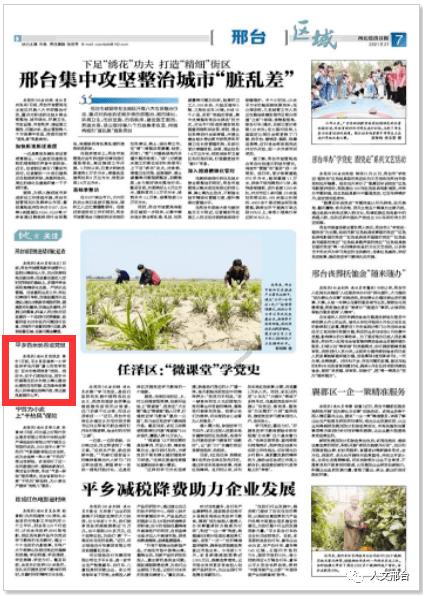 逃离大犀牛出没地