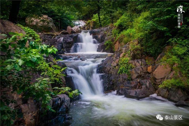 救援水管工