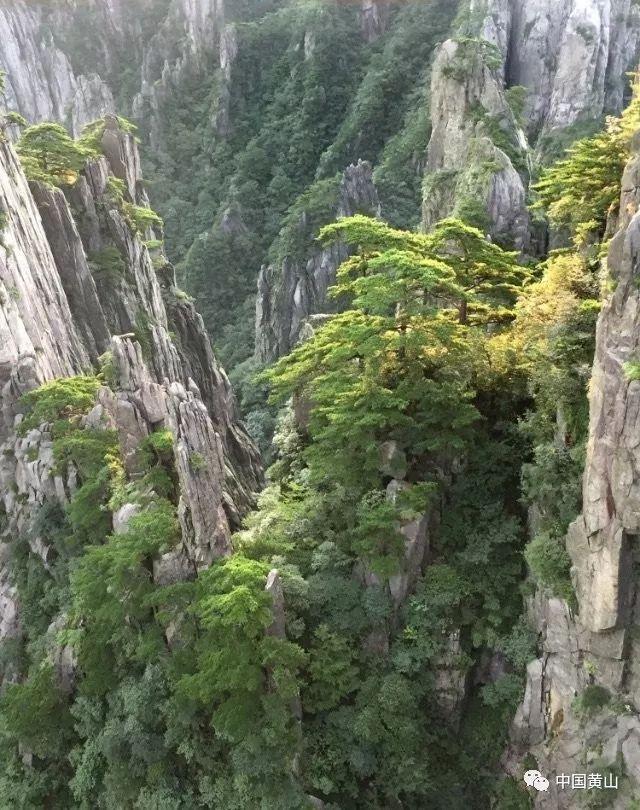 穿越迷宫