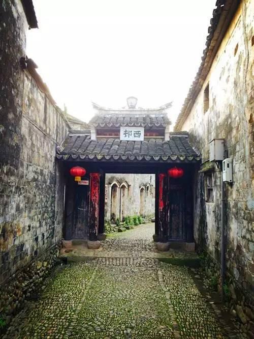 一万年前的“口香糖”讲述了太多故事