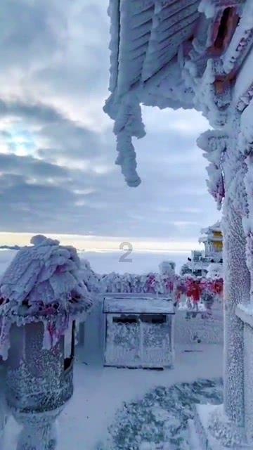 我们的节日·春节丨连开两天,桐乡人快来这里“赶集”!